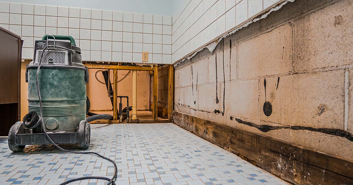 Mold Inspection Testing - KP Restorations