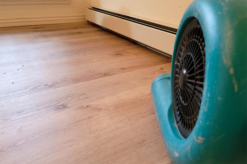 Water Damage Restoration Service