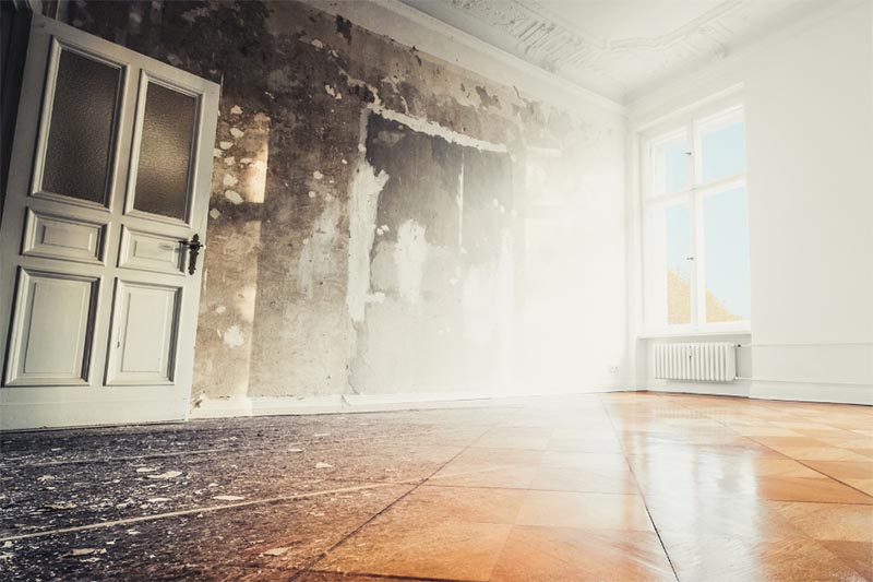 Mold Removal and Remediation