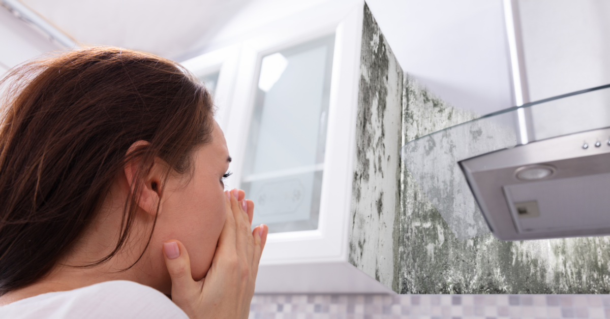 Macon Mold Remediation