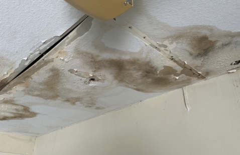 Certified Mold Inspector and Testing: What You Should Really Know